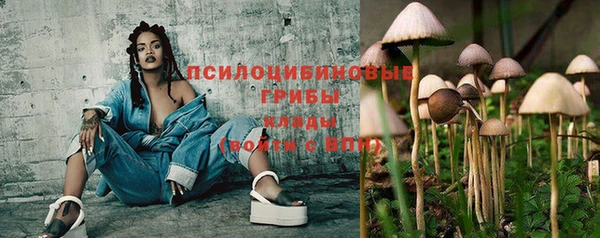 герыч Арсеньев