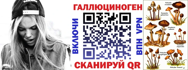 Псилоцибиновые грибы Psilocybe  цена наркотик  mega ссылки  Тимашёвск 