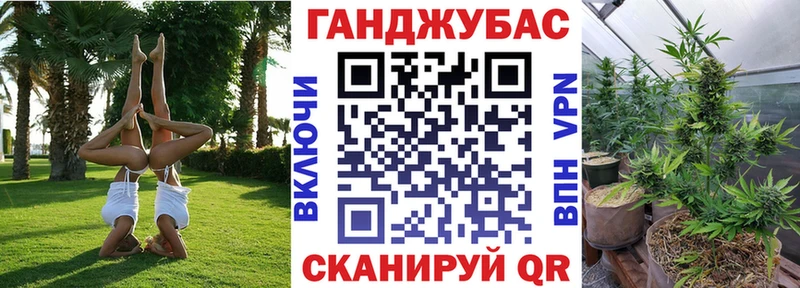 Конопля SATIVA & INDICA цены Тимашёвск